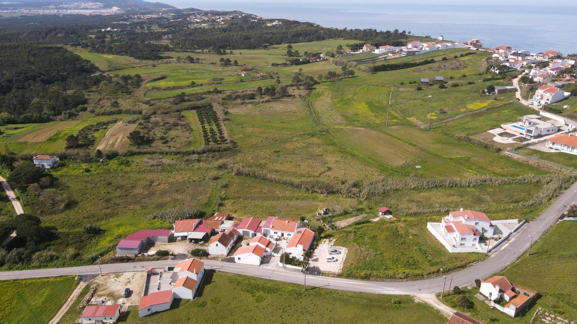 Casas Com Amoras In Serra Da Pescaria Famalicão المظهر الخارجي الصورة